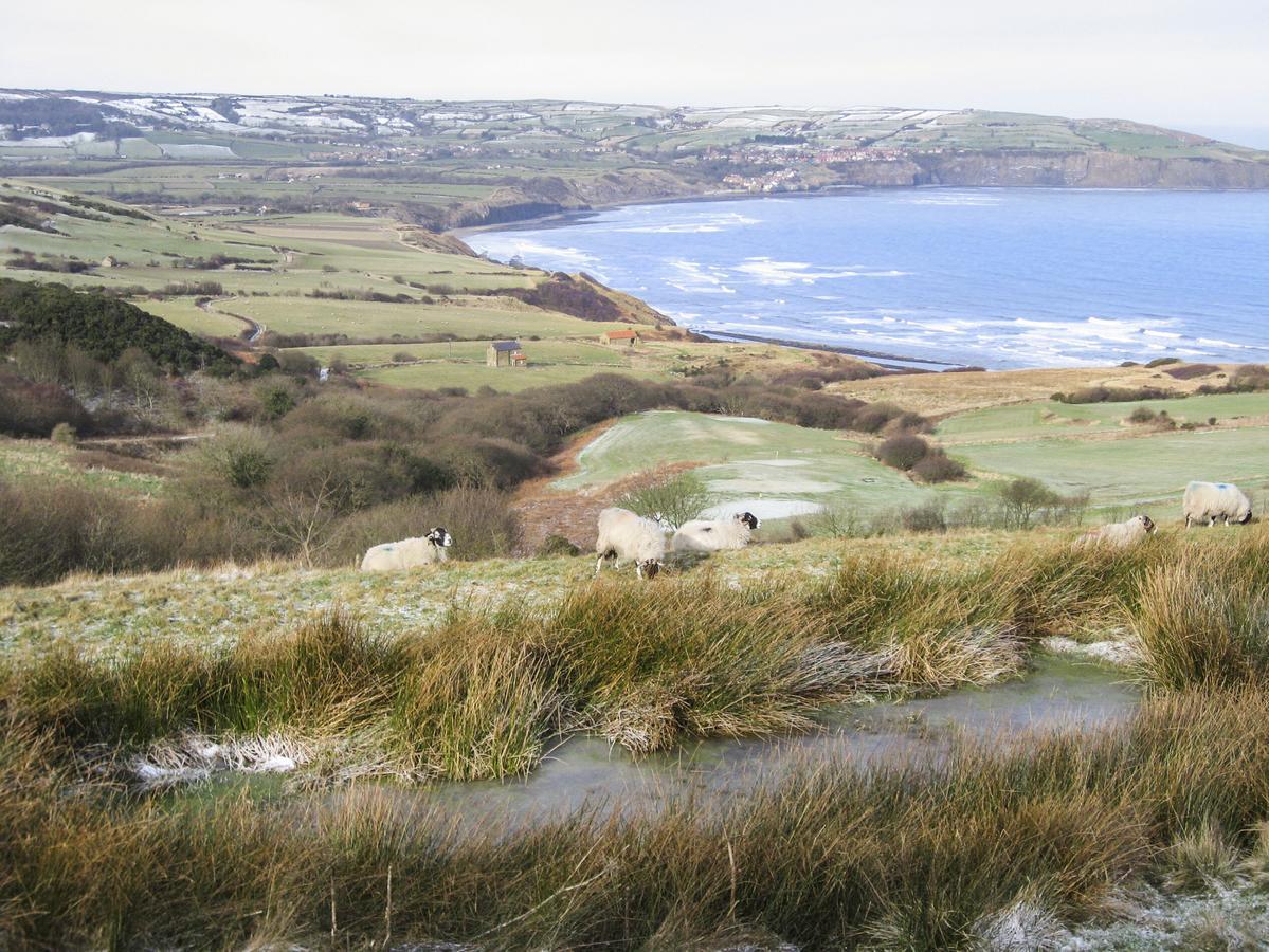 Cottage Val Fylingdales Luaran gambar